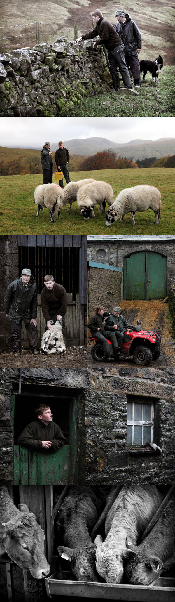 Hill Farming Cumbria