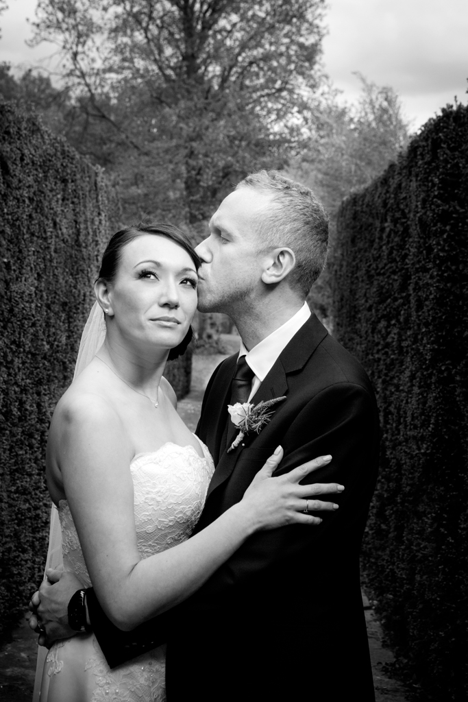 0028GREAT FOSTERS DDC-ML-6829