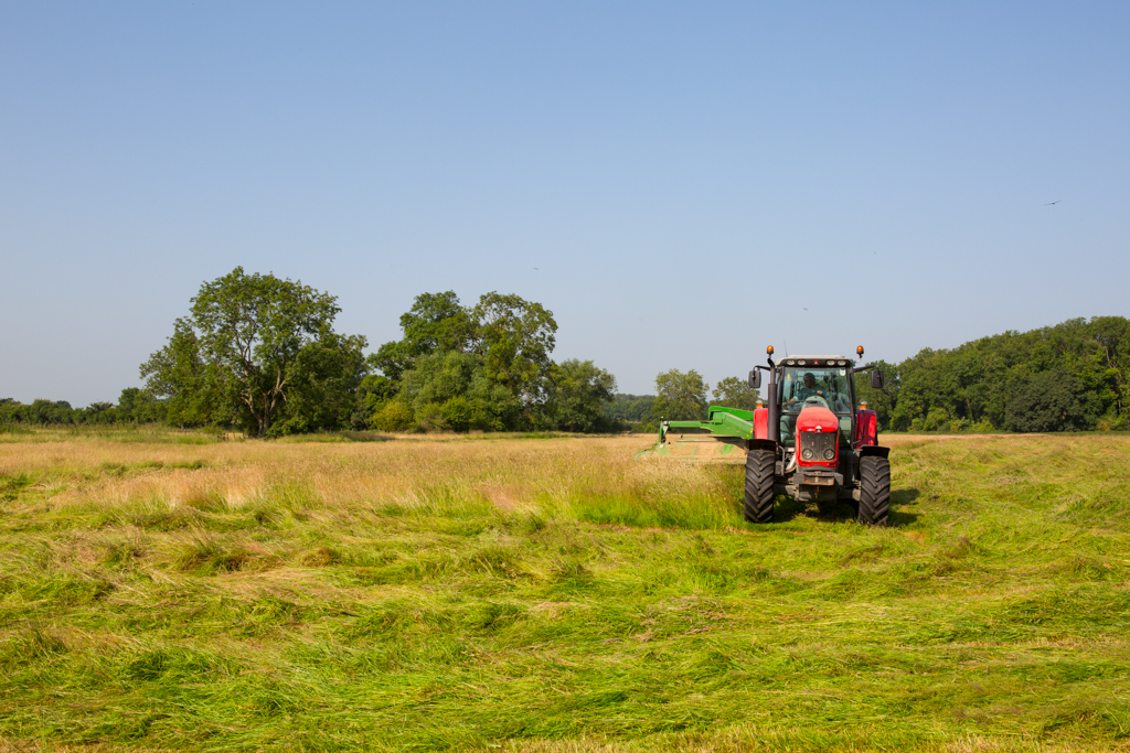 PCFTEL-ML-IMG_2401_008