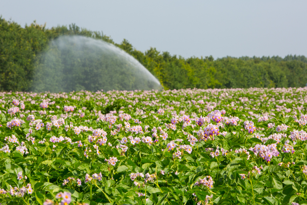 PCFTEL-ML-IMG_2469_019