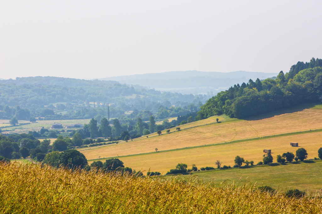 PCFTEL-ML-IMG_2491_026