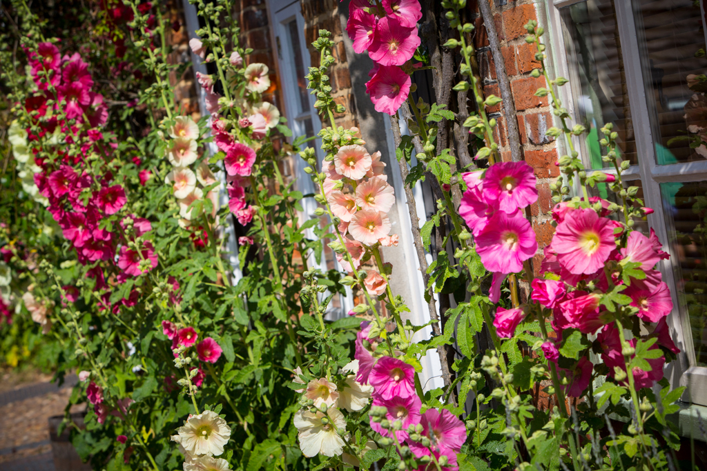 PCFTEL-ML-IMG_2497_028