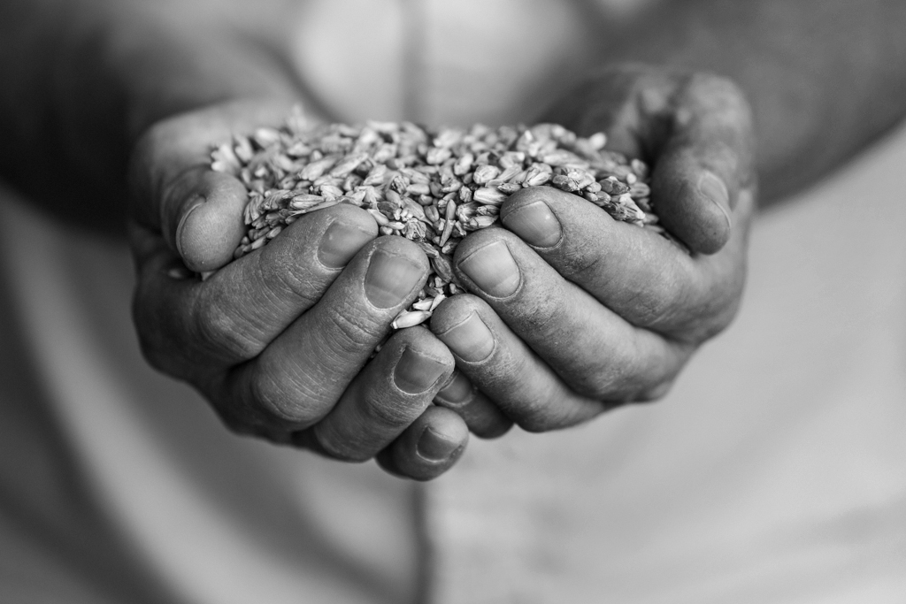 PCFTEL-ML-IMG_2706_056