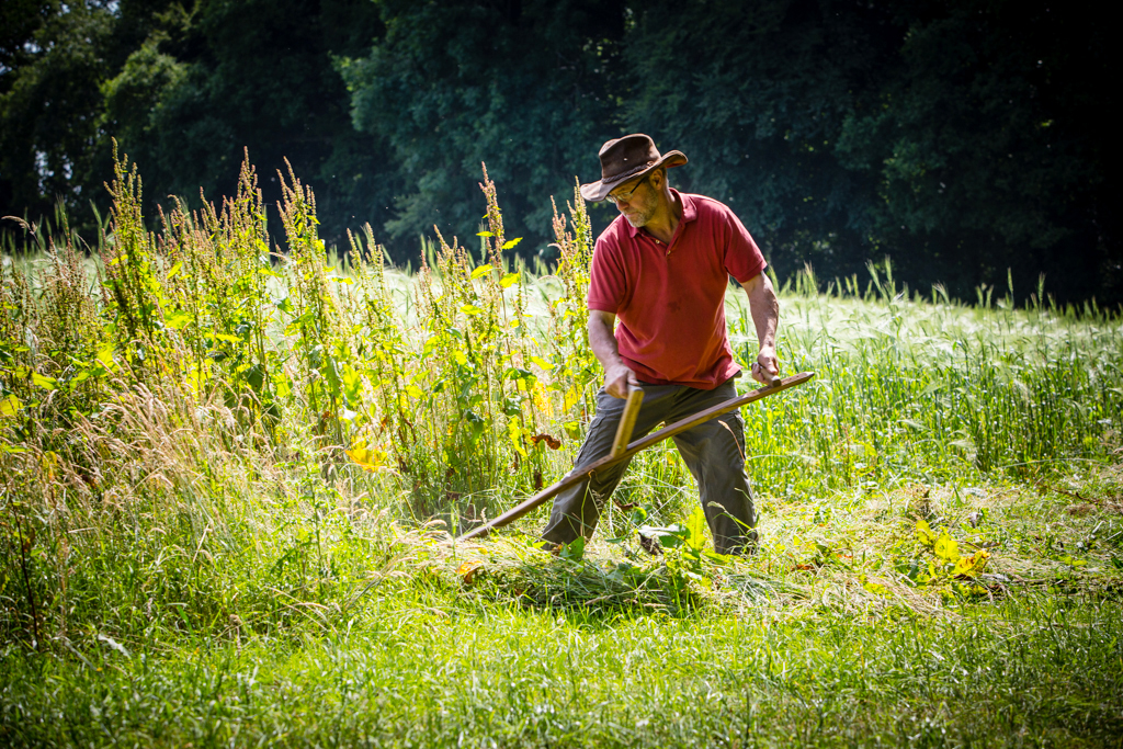 PCFTEL-ML-IMG_2734_060