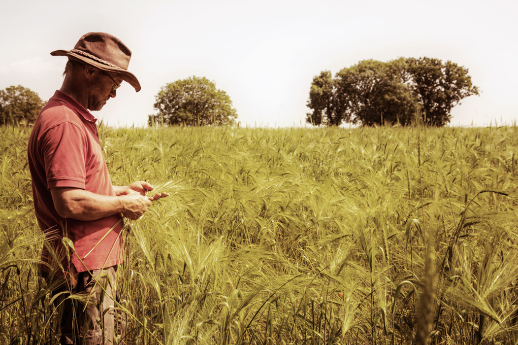 PCFTEL-ML-IMG_2783_066