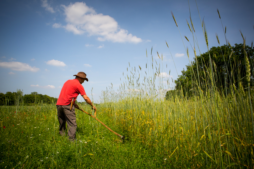 PCFTEL-ML-IMG_2811_073