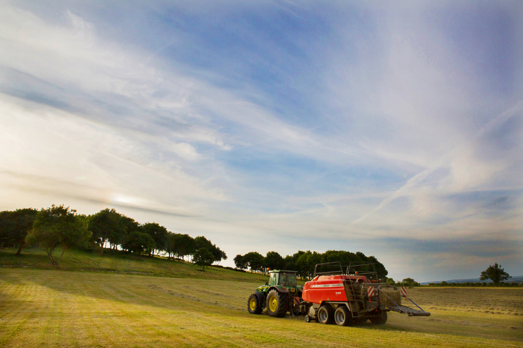 TBTEL-ML-IMG_4052_006