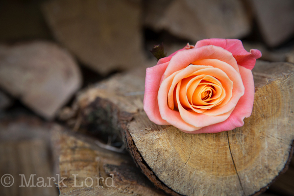 Tythe Barn Weddings - Mark Lord-TCB-ML-IMG_2054_020_006