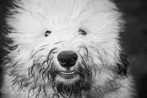 Portrait Photographer Thame-CCB-ML-IMG_8129_034_014