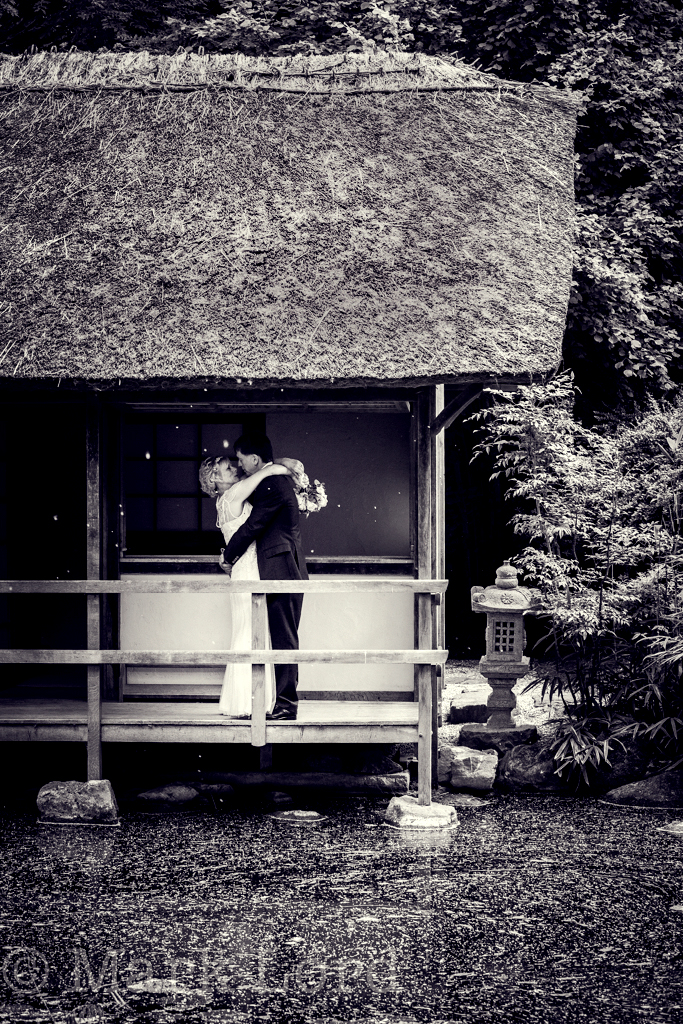 LMQAS-ML-IMG_8252_003