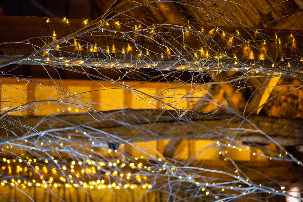 188-TCB-ML-IMG_2526_133