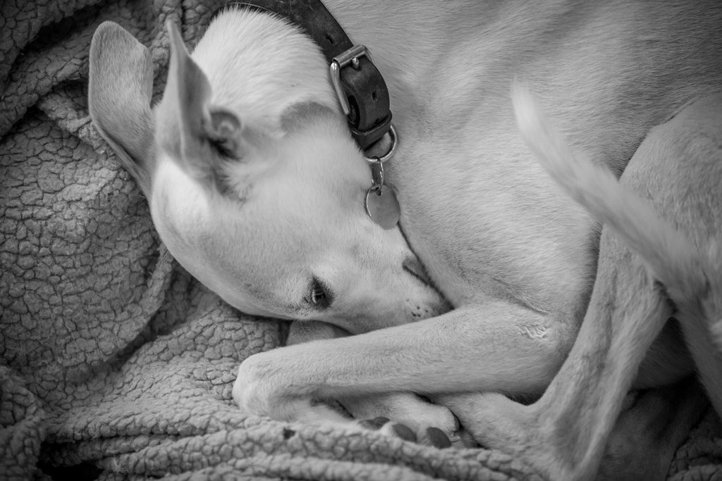 G&GSept2015-LORD1781_001