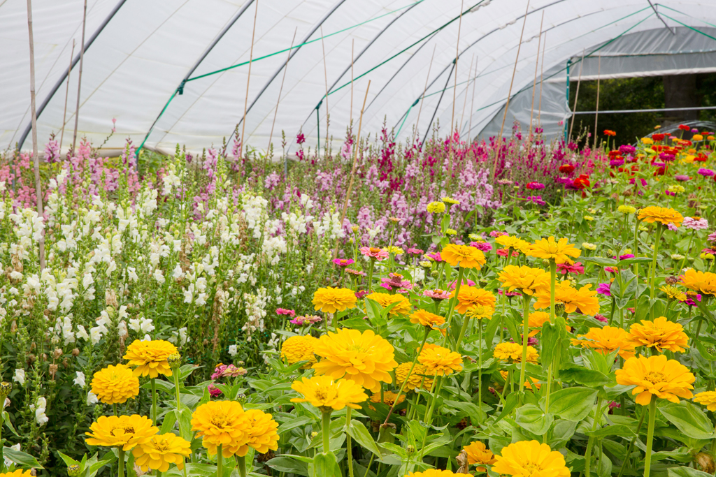 G&GSept2015-LORD1846_023