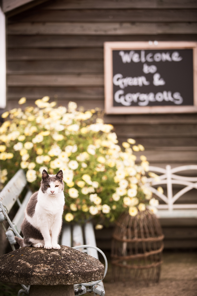 G&GSept2015-LORD1908_051