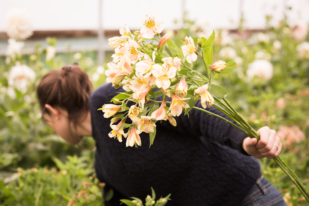 G&GSept2015-LORD1966_072