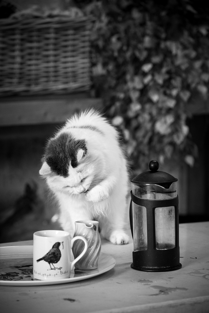 G&GSept2015-LORD2148_159