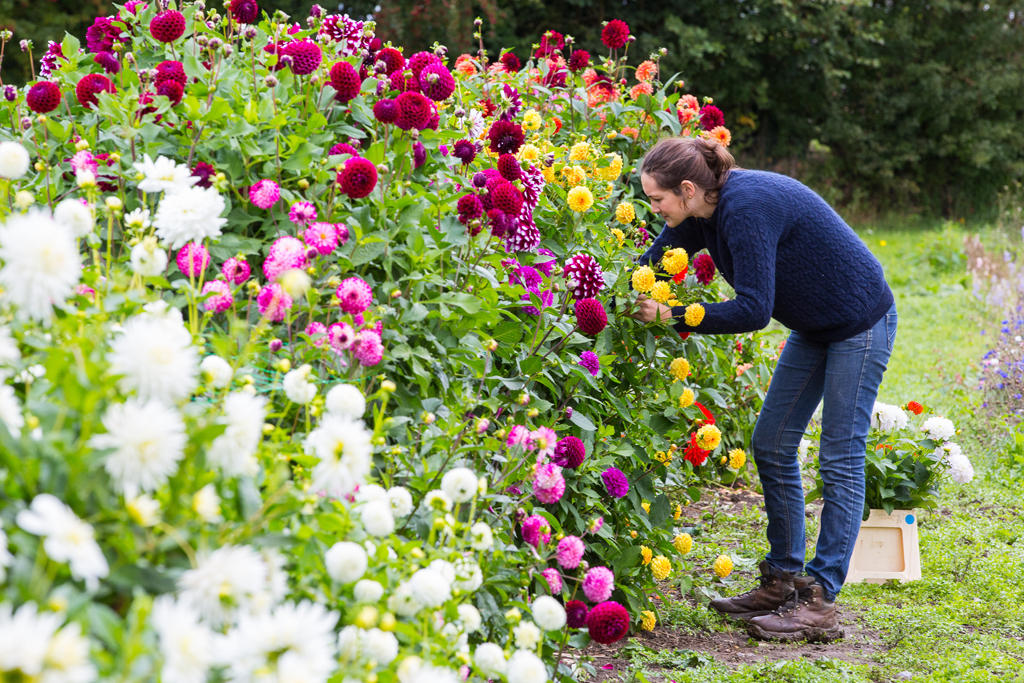 G&GSept2015-LORD2150_161