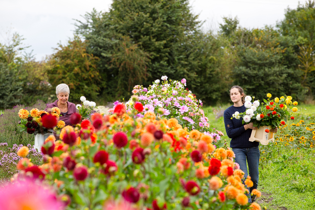 G&GSept2015-LORD2185_170