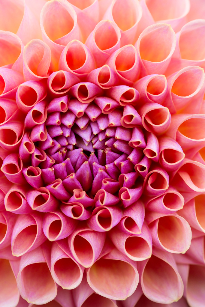 G&GSept2015-LORD2277_196