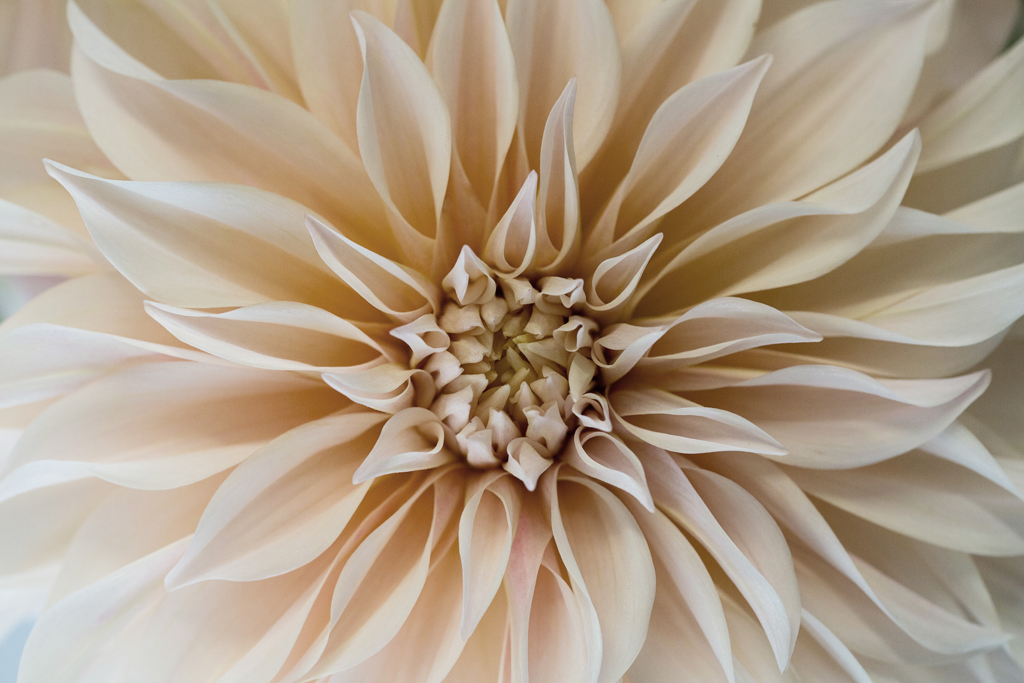 G&GSept2015-LORD2328_214