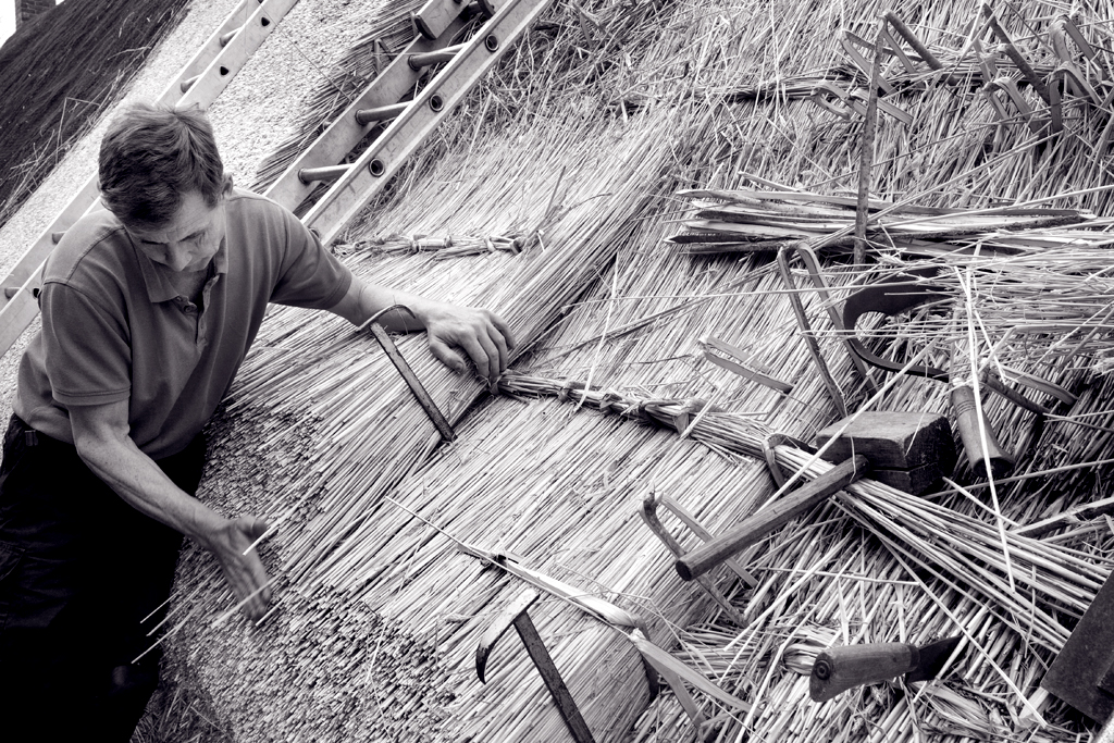 LOW RES-ANT-MLP16678_005 copy