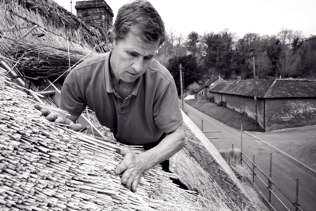 LOW RES-ANT-MLP16718_006 copy