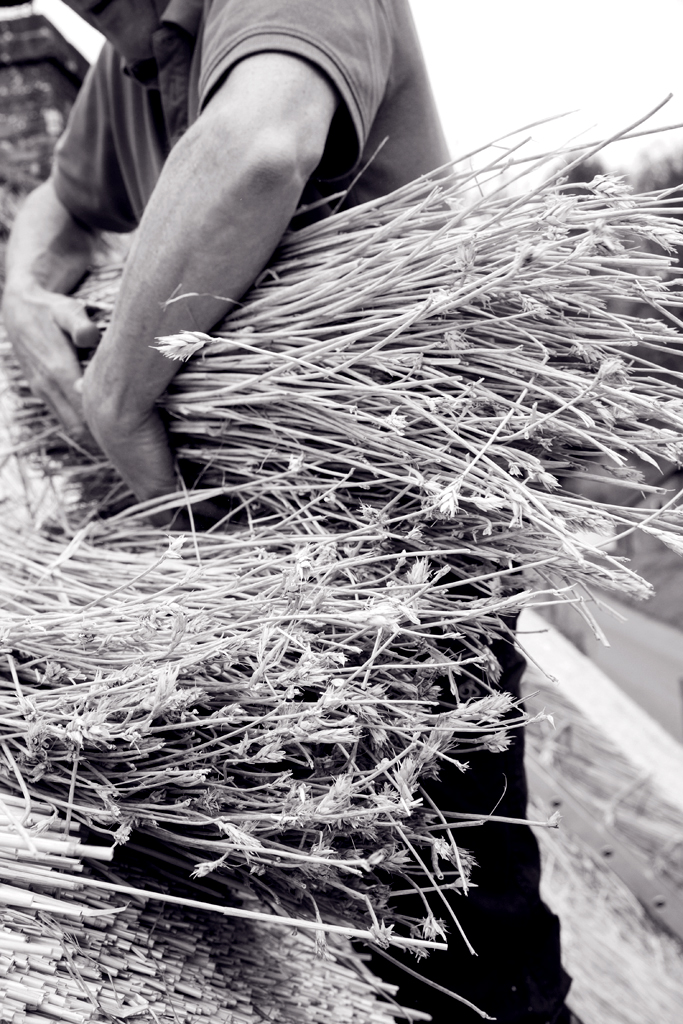 LOW RES-ANT-MLP16747_009 copy