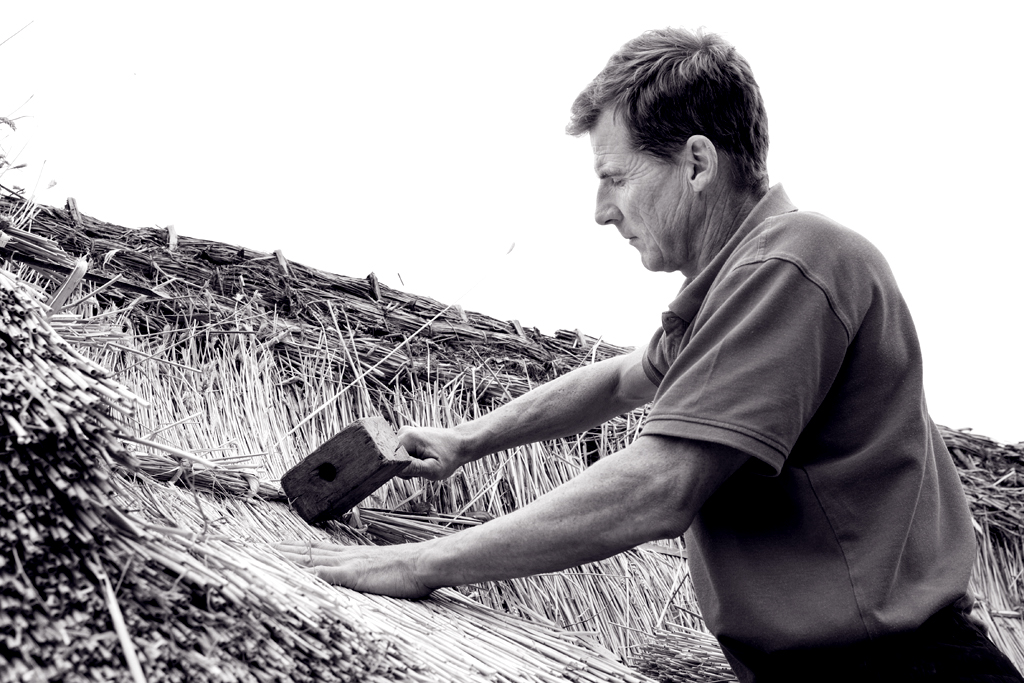 LOW RES-ANT-MLP16796_013 copy