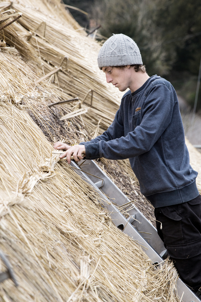 LOW RES-ANT-MLP16813_014