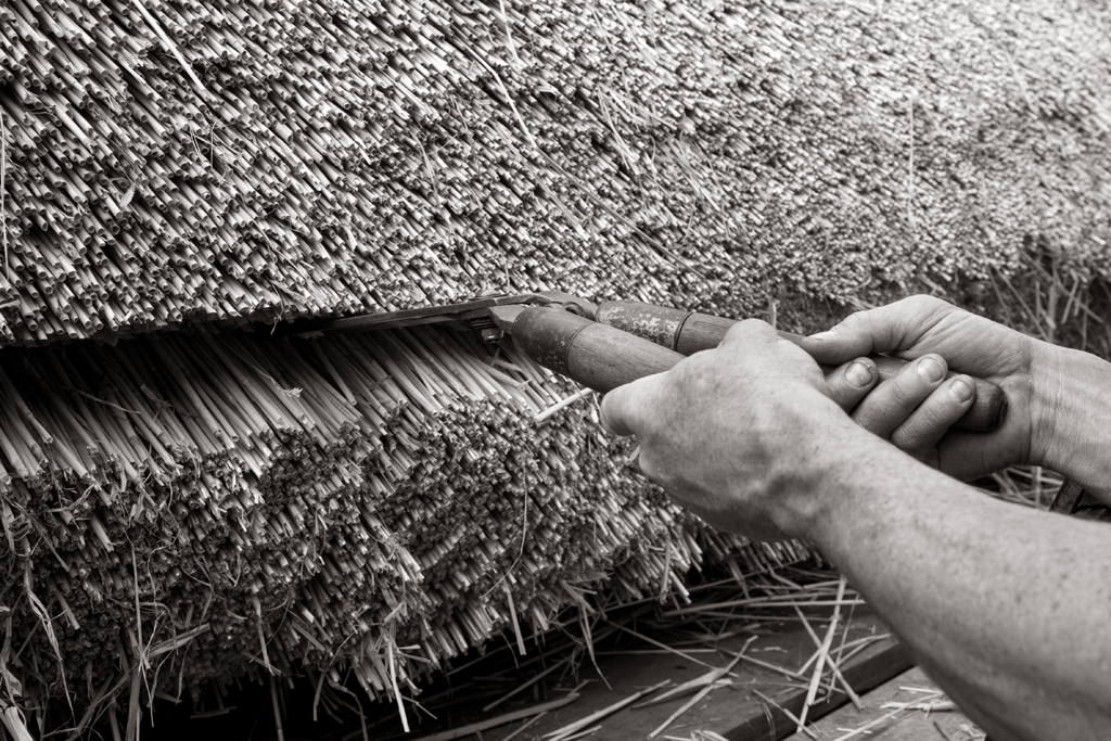 LOW RES-ANT-MLP16909_021 copy