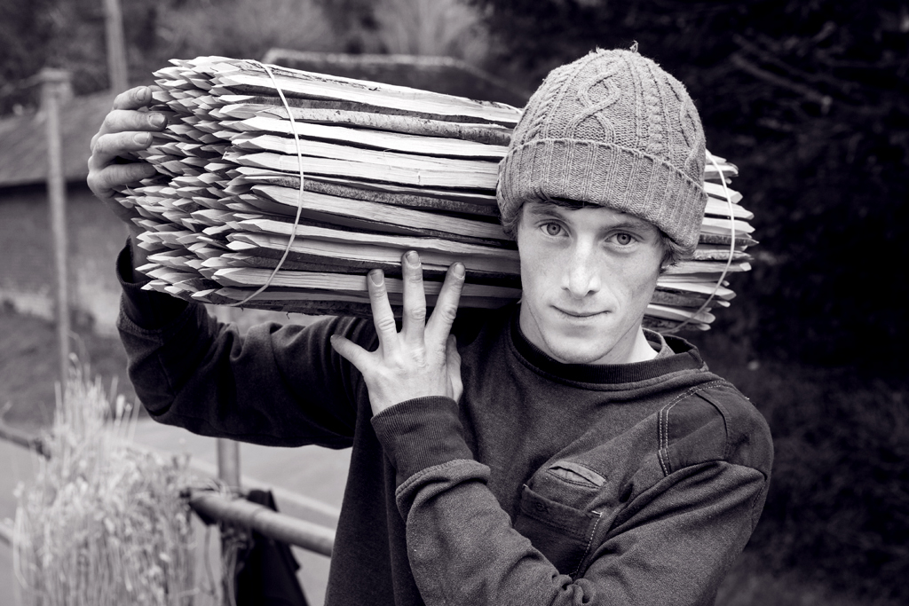 LOW RES-ANT-MLP16918_022 copy