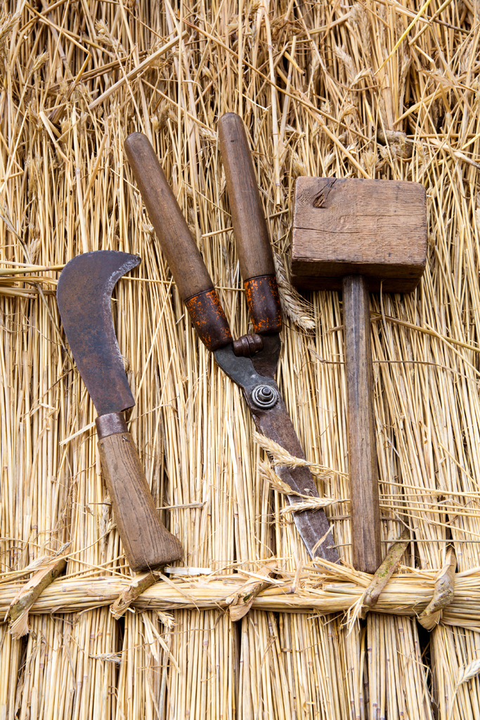 LOW RES-ANT-MLP16940_024