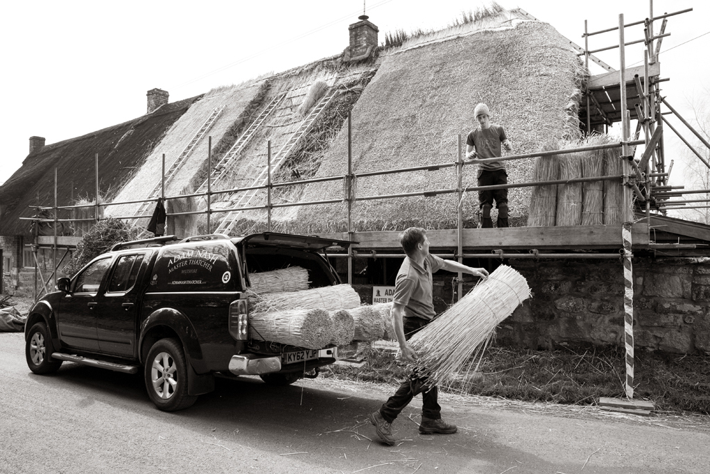 LOW RES-ANT-MLP16982_027 copy