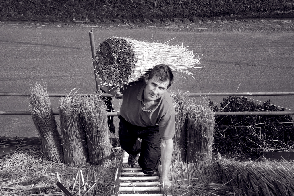 LOW RES-ANT-MLP17020_032 copy