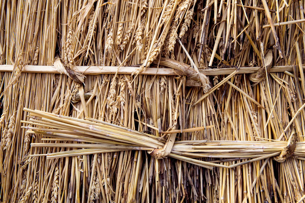 LOW RES-ANT-MLP17041_035