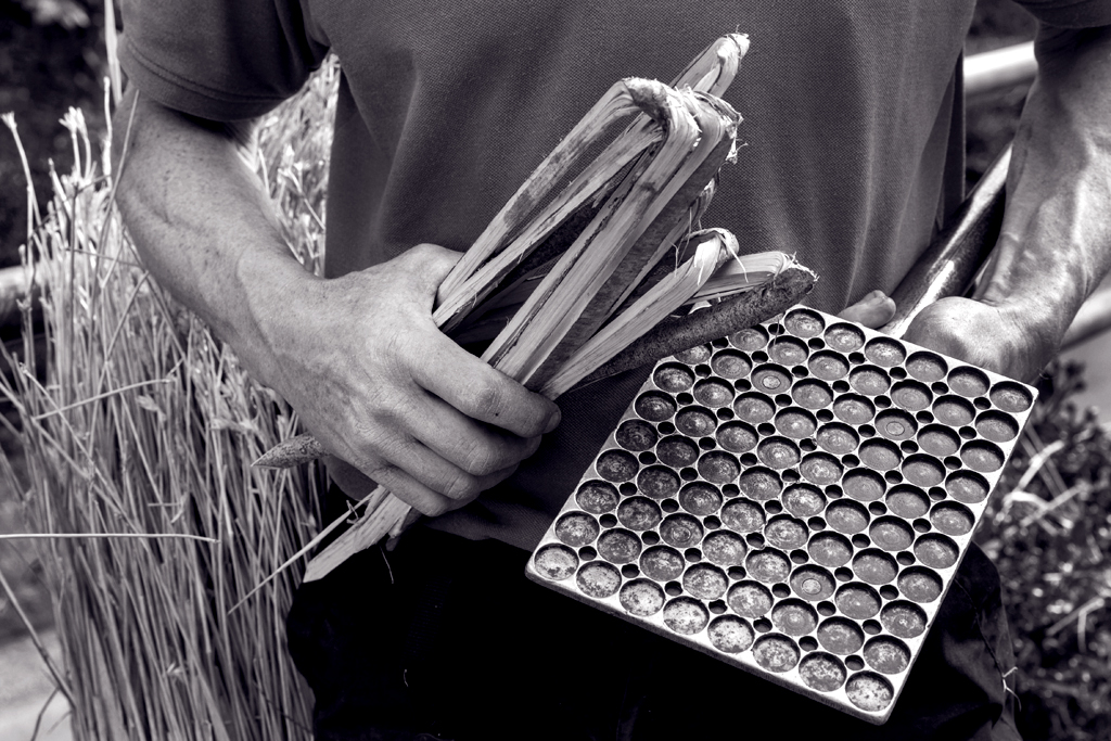 LOW RES-ANT-MLP17056_037 copy