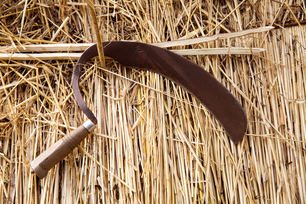 LOW RES-ANT-MLP17170_041