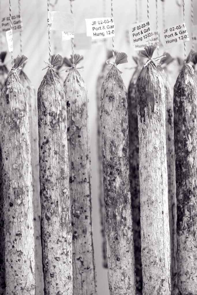 LOW RES - CC-MLP10174_031 copy