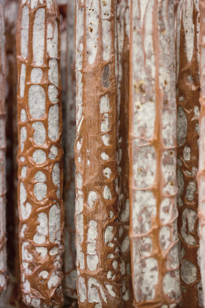 LOW RES - CC-MLP10180_033