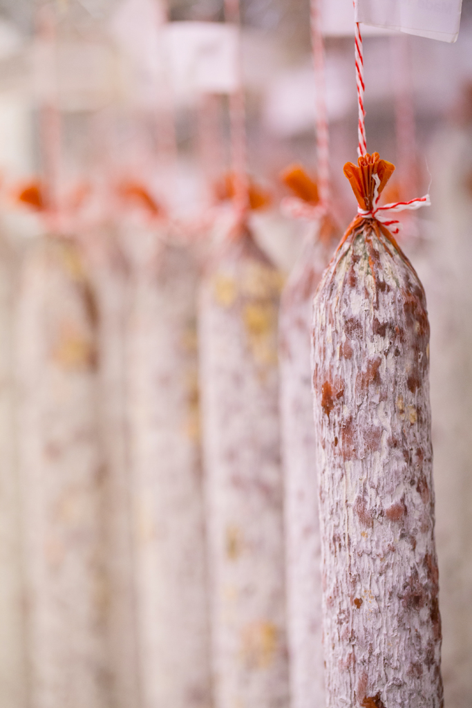 LOW RES - CC-MLP10200_037