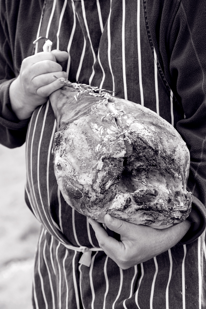 LOW RES - CC-MLP19989_010 copy