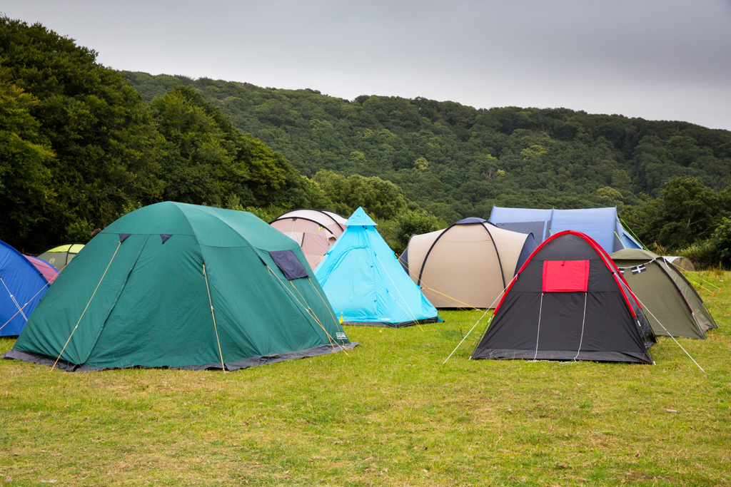 100-LT-ML-MLP38519_381